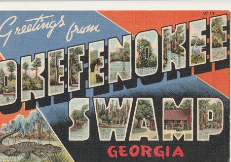 Unused Postcard: Greetings from Okefenokee Swamp, GA