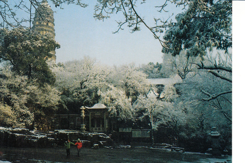 Vintage Postcard Tiger Hill Pagoda, China