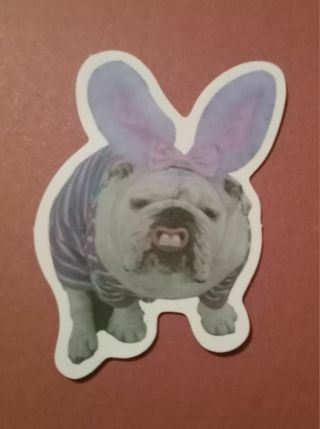 Bunny puppy dog sticker