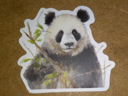 Panda Cute new 1⃣ vinyl sticker no refunds regular mail only Very nice win 2 or more get bonus