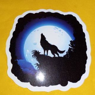 Beautiful Cool new vinyl lap top sticker no refunds regular mail very nice quality