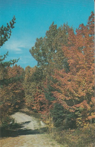 Vintage Unused Postcard: d: Bear Lake, MI