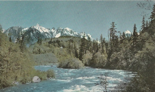 Vintage Unused Postcard: y: Skyhomish River, Washington