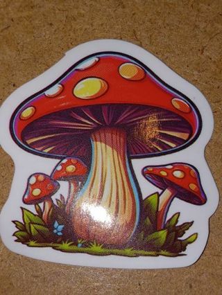 Pretty Cute one small vinyl sticker no refunds regular mail only Very nice quality!