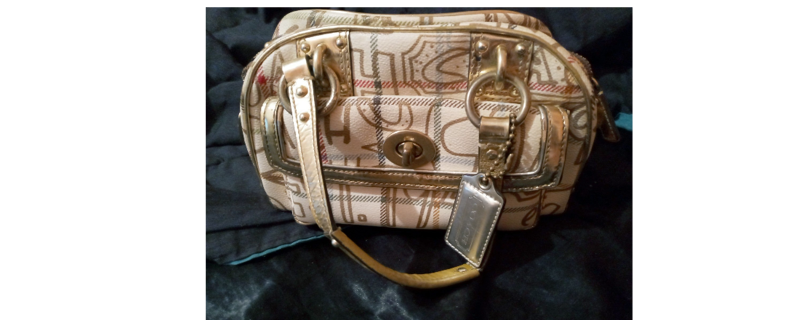 Coach limited edition Tattersall graffiti pouch L0868-13185