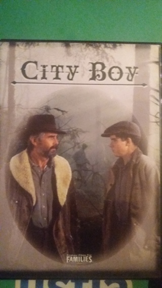 dvd city boy free shipping