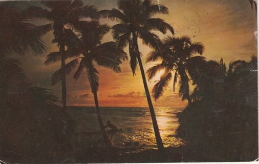 Vintage Used Postcard: A: Evening in Florida