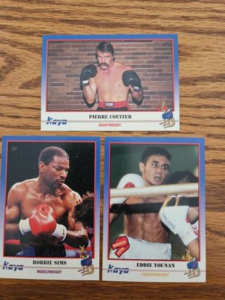 1991 KAYO Boxing trading cards.#224,#226,#227