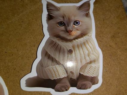 Cat One New Cute vinyl sticker no refunds regular mail only Very nice quality!