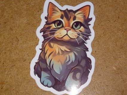 Cat 1⃣ nice vinyl sticker no refunds regular mail win 2 or more get bonus