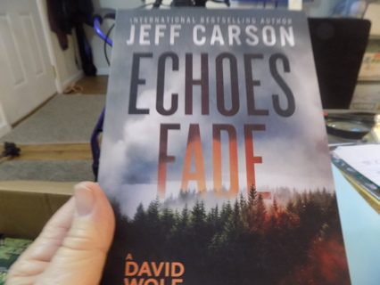 Echoes Fade by Jeff Carson A David Wolf Novel paperback