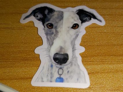 Dog Cool new one vinyl sticker no refunds regular mail very nice quality