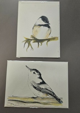 Lot of 2 beautiful bird cards - blank inside