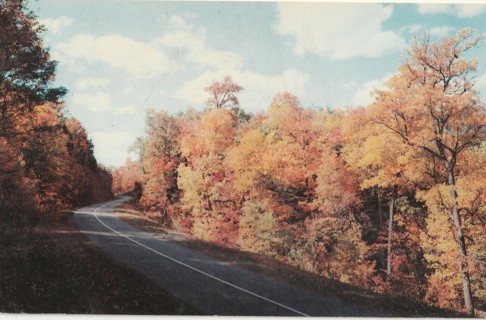 Vintage Unused Postcard: o: Road to Cades Cove, Smoky Mountains