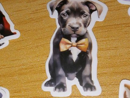 Dog Cute one vinyl sticker no refunds regular mail Win 2 or more get bonus