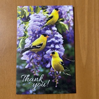 Thank You Card