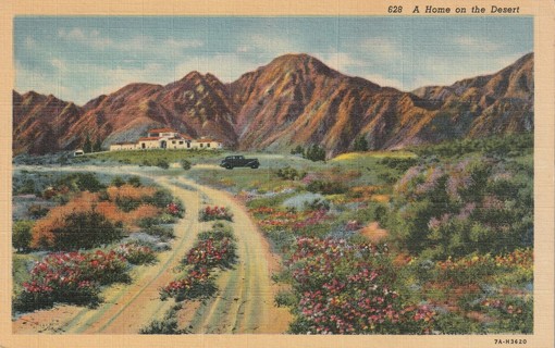 Vintage Used Postcard: r: a Home on the Desert