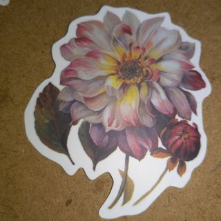 Flower one new nice vinyl lab top sticker no refunds regular mail high quality!