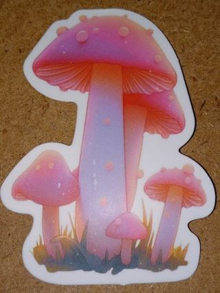 Cool new one big vinyl lap top sticker no refunds regular mail win 2 or more get bonus