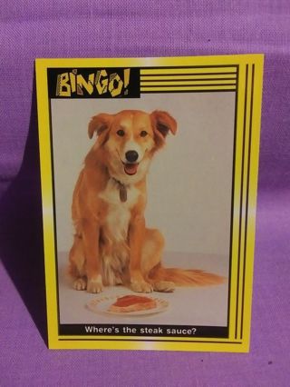 BingoTrading Card #8