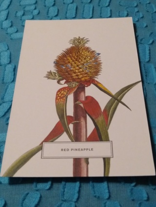 Botanical Postcard - RED PINEAPPLE