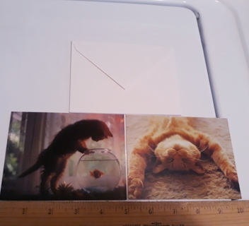 2 Cat Notecards (with Envelopes)