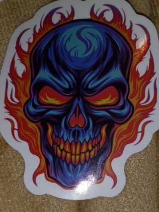 Cool new one nice vinyl lap top sticker no refunds regular mail very nice quality