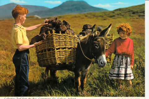 Vintage Postcard Collecting Turf, Ireland