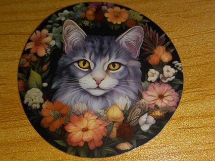 Cat one nice vinyl lap top sticker no refunds regular mail very nice quality win 2 or more get bonus