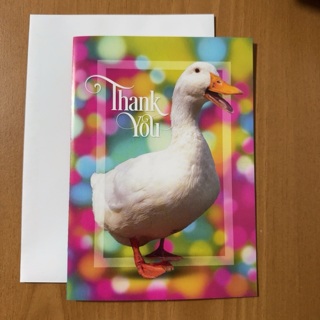 “Clyde” Thank You Card