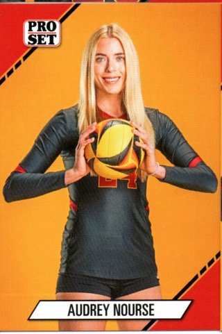 2024 Audrey Nourse Leaf Pro Set Volleyball