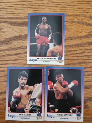 1991 KAYO Boxing trading cards.#239,#240,#241.