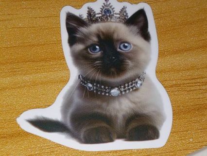 Cat New Cute 1⃣ vinyl sticker no refunds regular mail only Very nice quality!