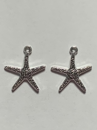 OCEAN/BEACH CHARMS~#34~SILVER~2 CHARMS~FREE SHIPPING!