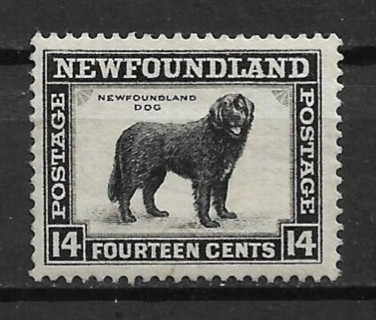 1932 Newfoundland Sc194 Newfoundlnd Dog used