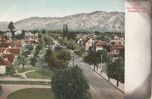 Vintage Unused Postcard: d: North Los Robles Ave, Pasadena, CA