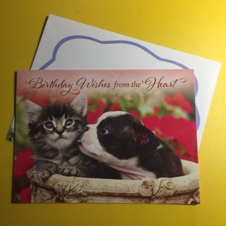 Cat & Dog Birthday Card | Birthday Wishes from the Heart