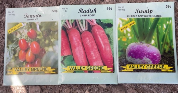 3 packs of seeds Tomato, Radish, & turnip (Non-genetically engineered 