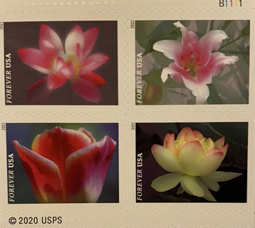 100 Garden Beauty Forever Postage Stamps 