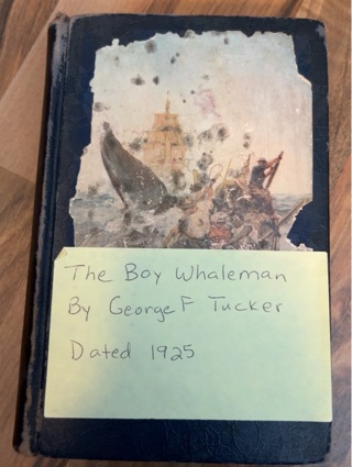 The Boy Whaleman by George F Tucker 