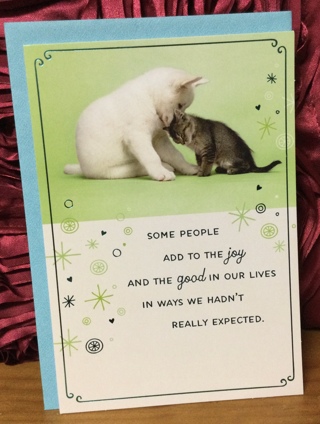 Puppy and Kitten Friendship Card