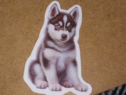 Dog Cute 1⃣ new nice vinyl sticker no refunds regular mail only Very nice these are all nice
