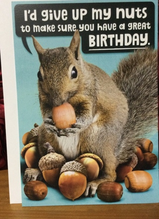 Squirrel Holding a Nut Birthday Card