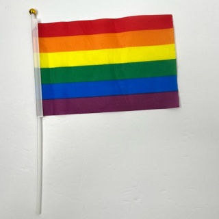 Rainbow Gay Mini Flag 