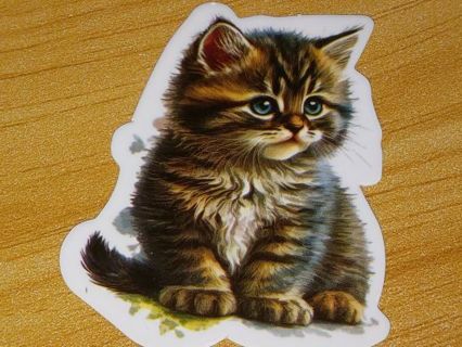 Adorable cat nice vinyl sticker no refunds regular mail only Very nice quality!