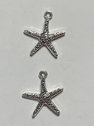 OCEAN/BEACH CHARMS~#71~SILVER~2 CHARMS~FREE SHIPPING!