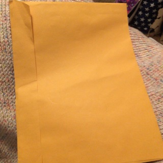 Mystery Orange Large Envelope 