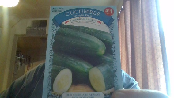 cucumber seeds-straight eight