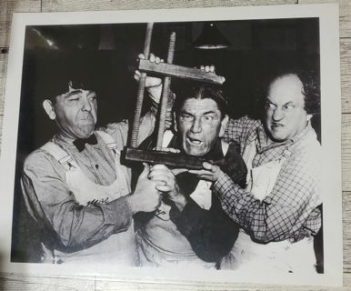 Three Stooges 8 x 10" Glossy Photo