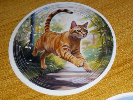Cat Cute one vinyl sticker no refunds regular mail only Very nice quality!